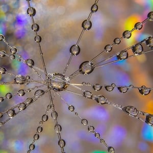 Magi i Hver Dråbe! – produktbillede