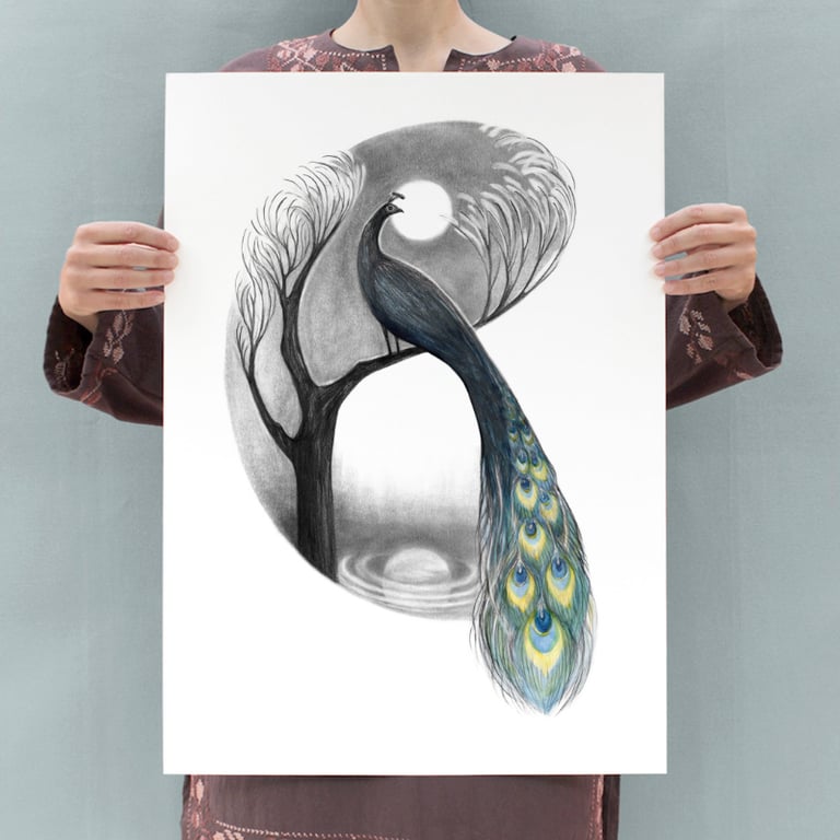 Påfuglemåne billede 3