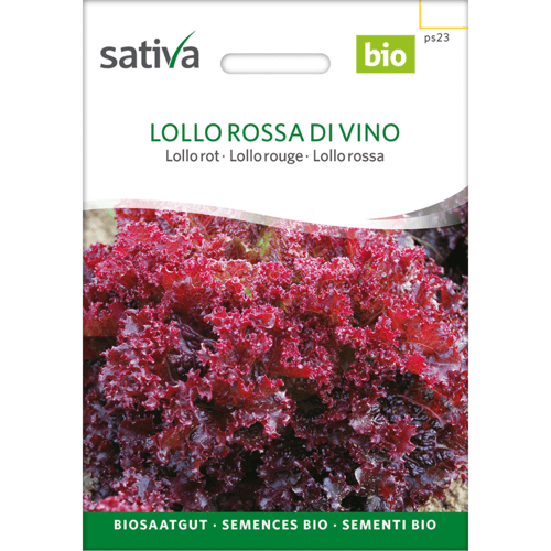 Frøpakke til økologisk Lollo Rossa di Vino salat med billede af rød, krøllet salat. (1)