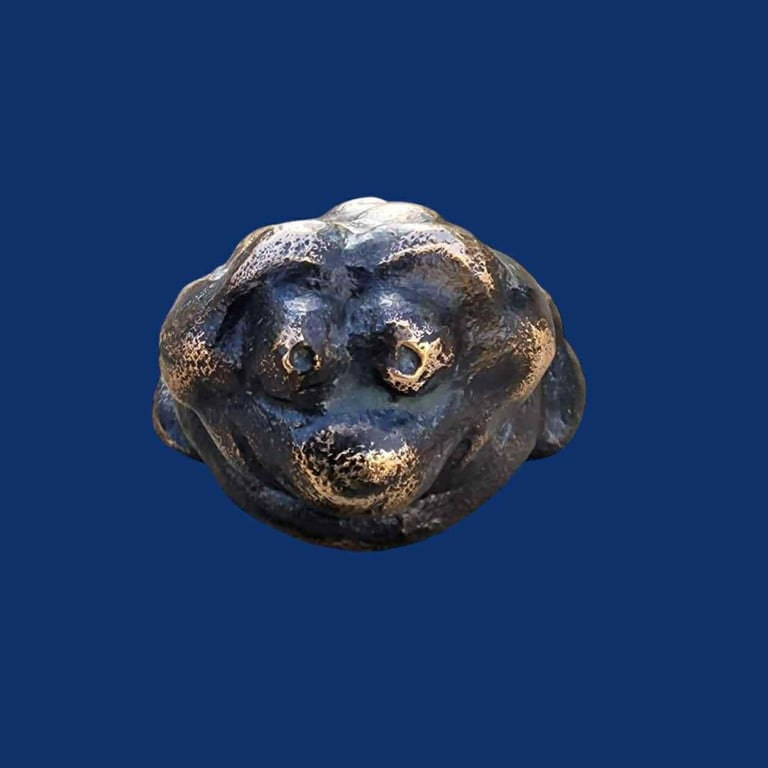 Skrubtudsen billede 6
