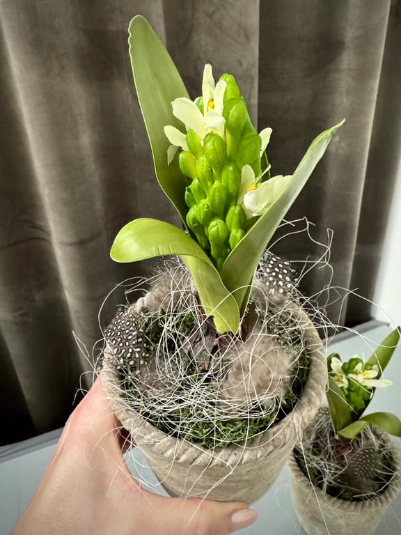 Deko med hyacint billede 4