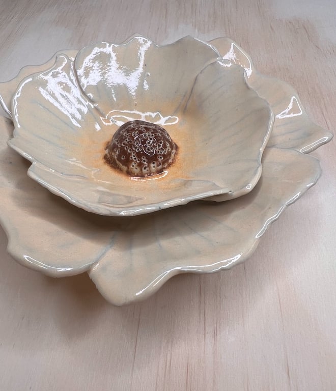 Vægblomst lille  i svag orange   billede 2