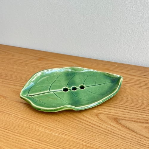 Sæbeskål