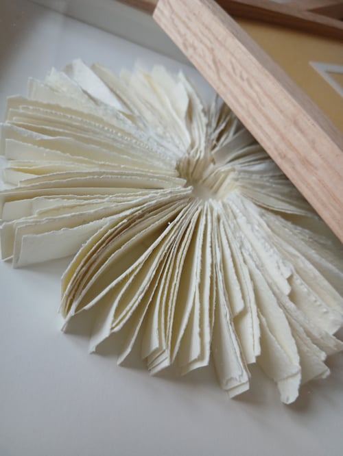 20x20cm relief papirværk, indrammet 