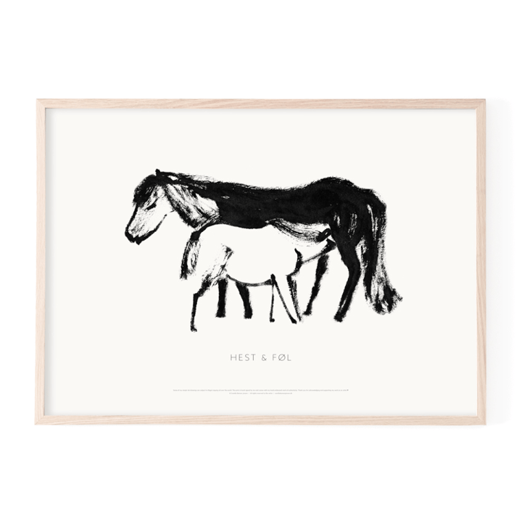 HEST &amp; FØL billede 2
