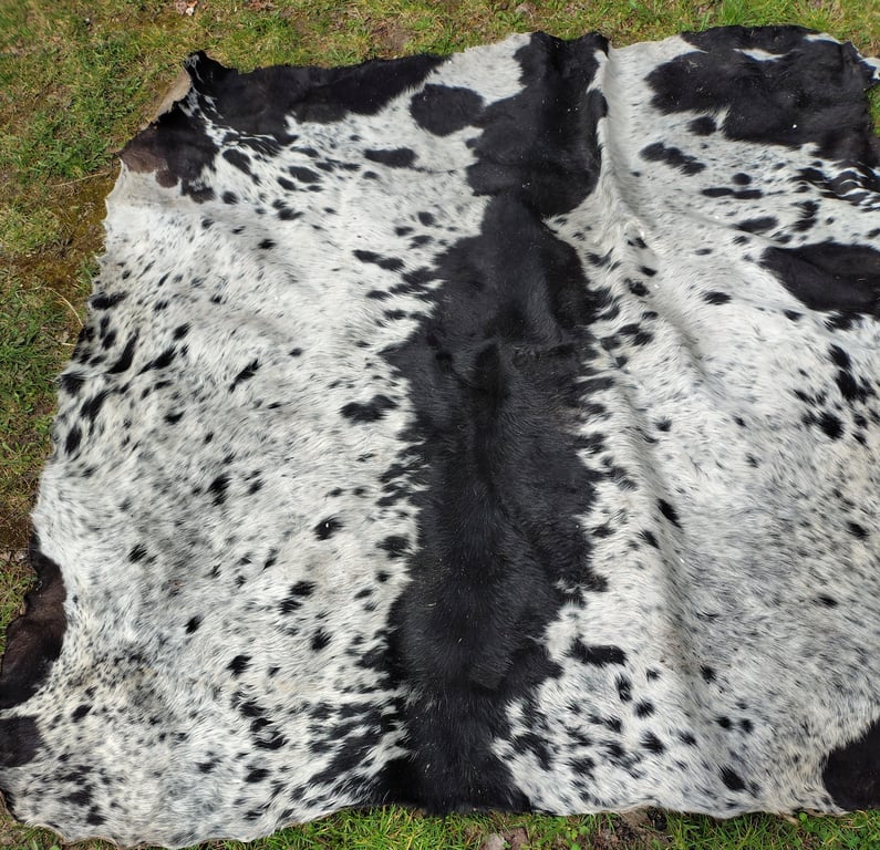 Kæmpe Bøffelskin  55 Tommer med hår