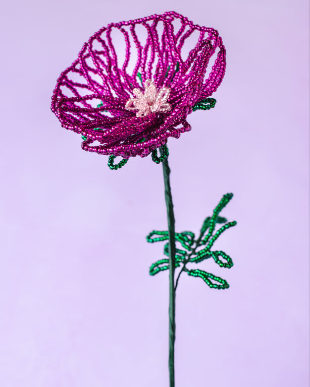 Mørk pink valmue