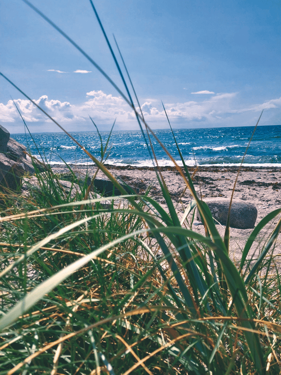 Stranden på Sejerø A3