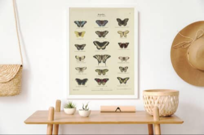 Plakat - Sommerfugle billede 3