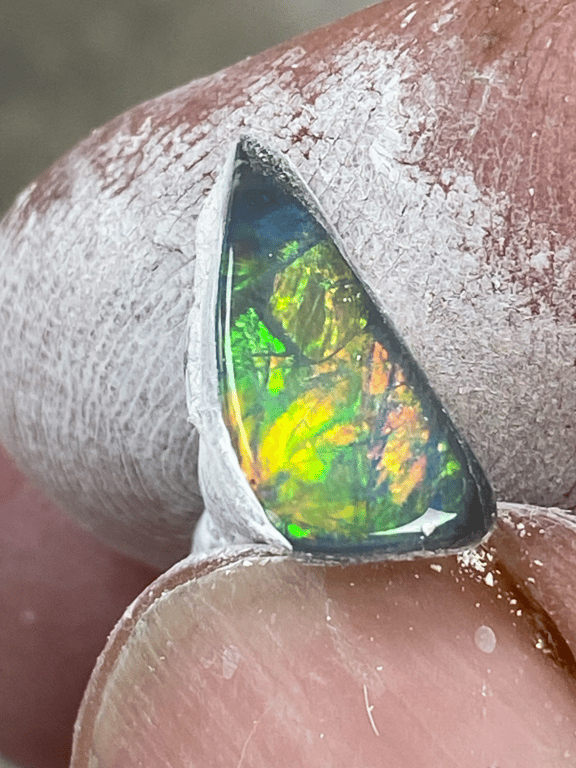 You win some you lose some