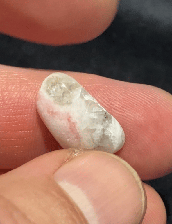 Albino billede 5