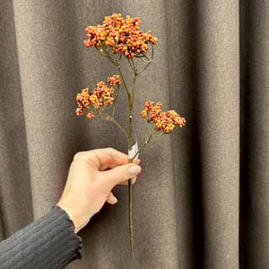 Orange stilk – produktbillede