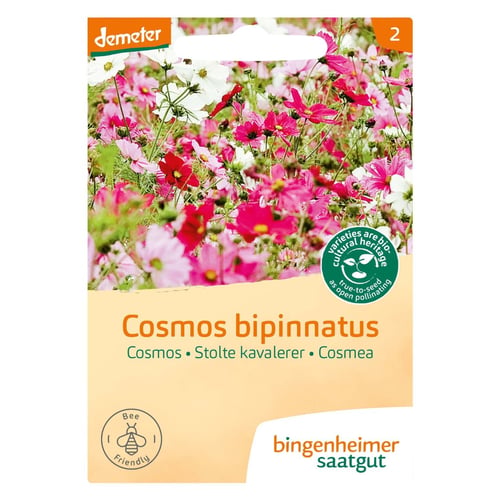 Cosmos - Bingenheimer saatgut