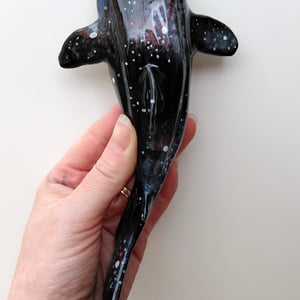 nebula hvalhaj – produktbillede