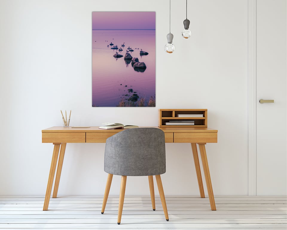 Ænderne ved Dragør Sydstrand (Amager)  billede 2