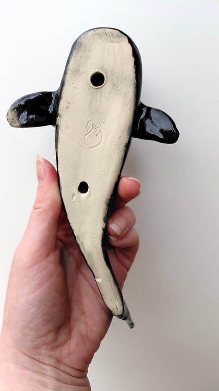 nebula hvalhaj billede 6