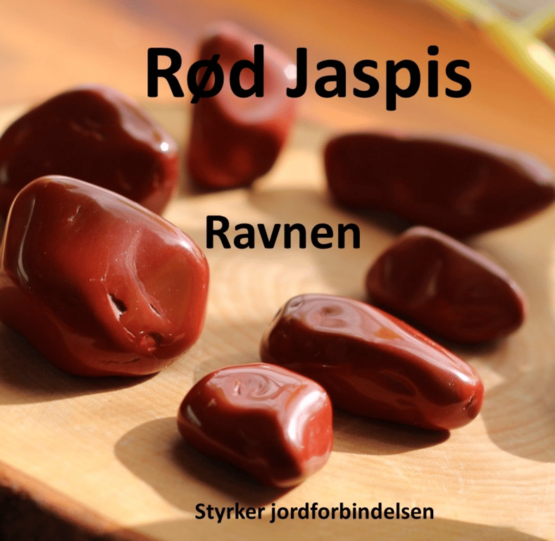 Kraftstenene i Medicinhjulet billede 20