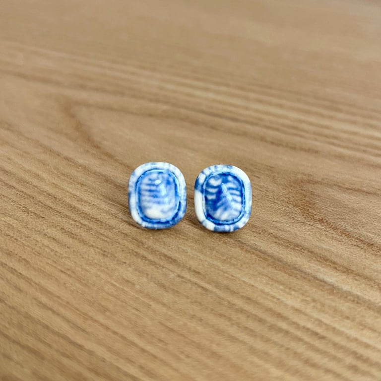 Blå og Hvide Ørestikkere billede 8