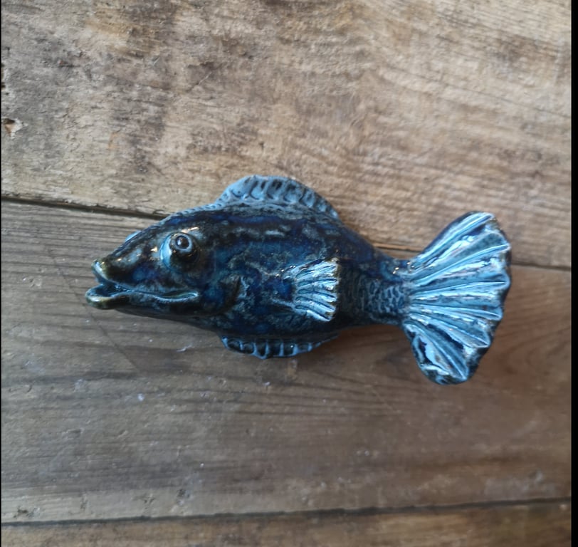 Fisk blå  billede 2