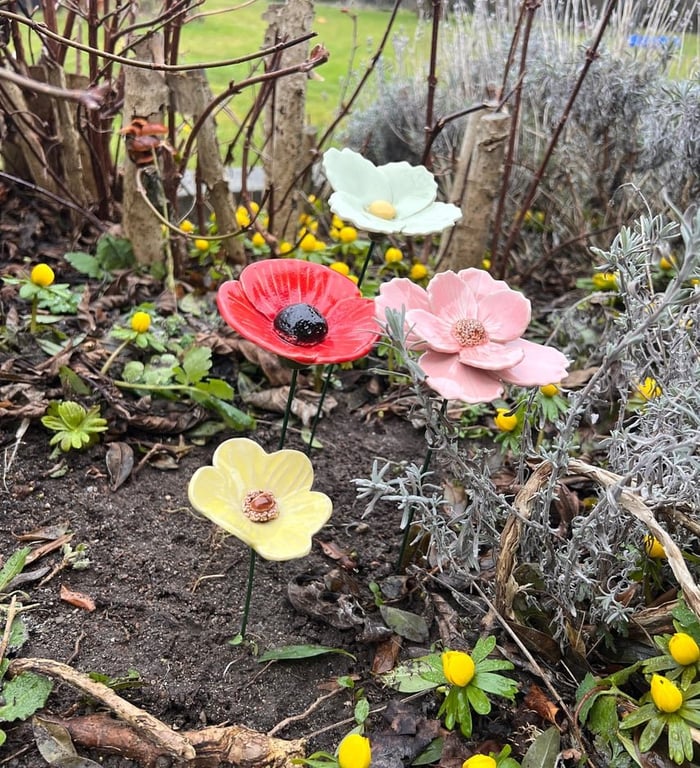 Lysegul blomst på stilk  billede 5