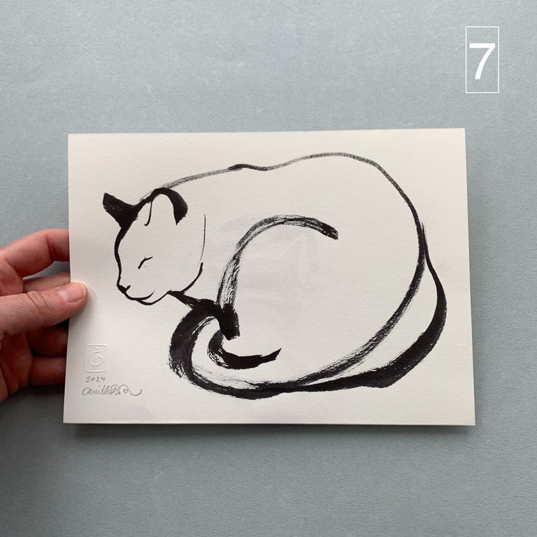 Katteskitser billede 5