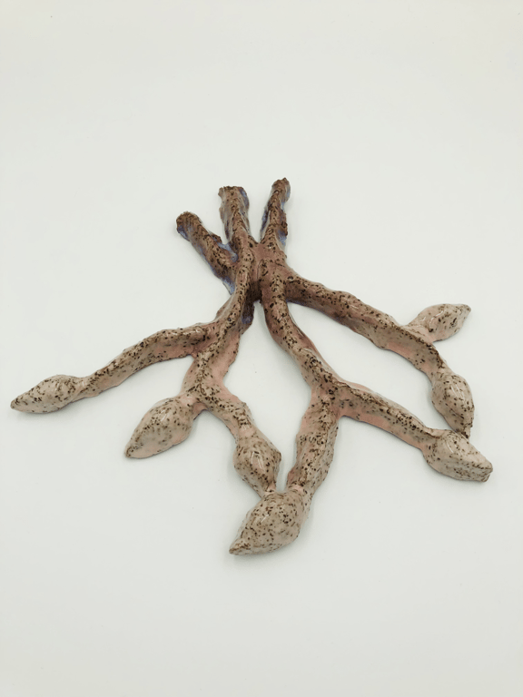 Vægophæng - blomst