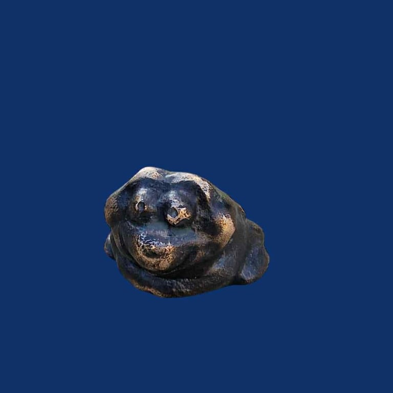 Skrubtudsen billede 3