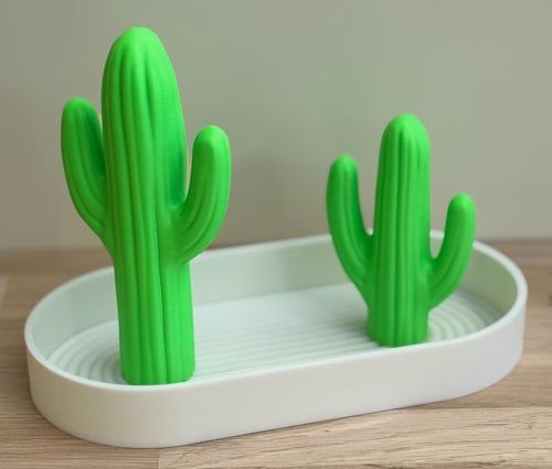 Cactus Chic - Smykkestativ (3)
