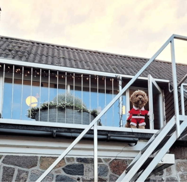 Freddy i juleklæder.