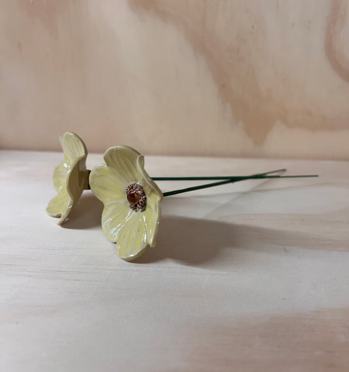 Lysegul blomst på stilk  billede 3