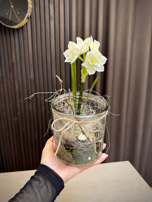 Narcisse i glas hvid lille  billede 2