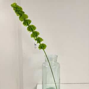 Grøn klokke – produktbillede