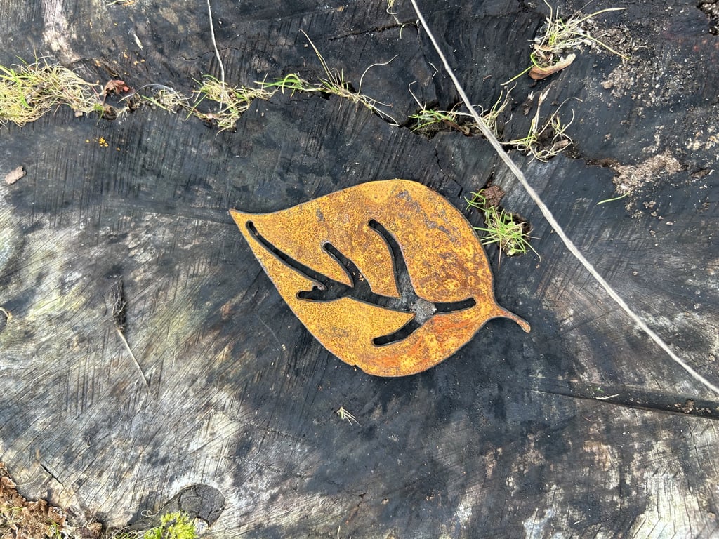 Rustfarvet metalblad med udskårne årer ligger på en mørk træstub omkranset af lidt græs.