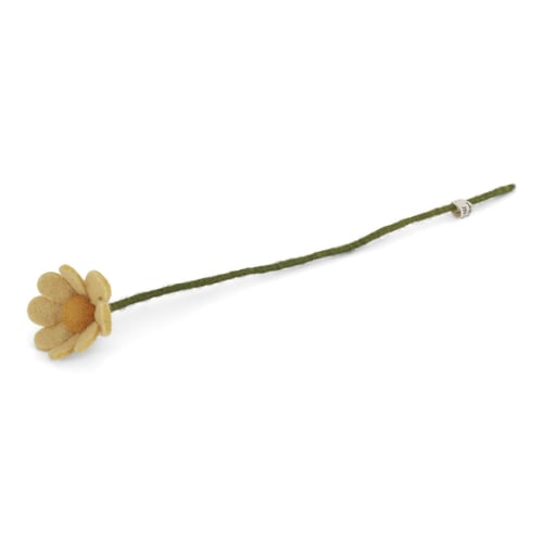 Filtblomst med lang grøn stilk og beige kronblade mod hvid baggrund. (3)