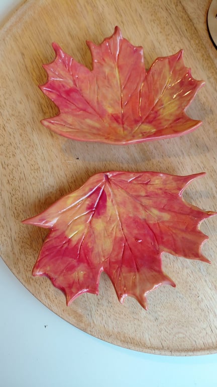 efterårsblade, sæt, rødlige billede 2