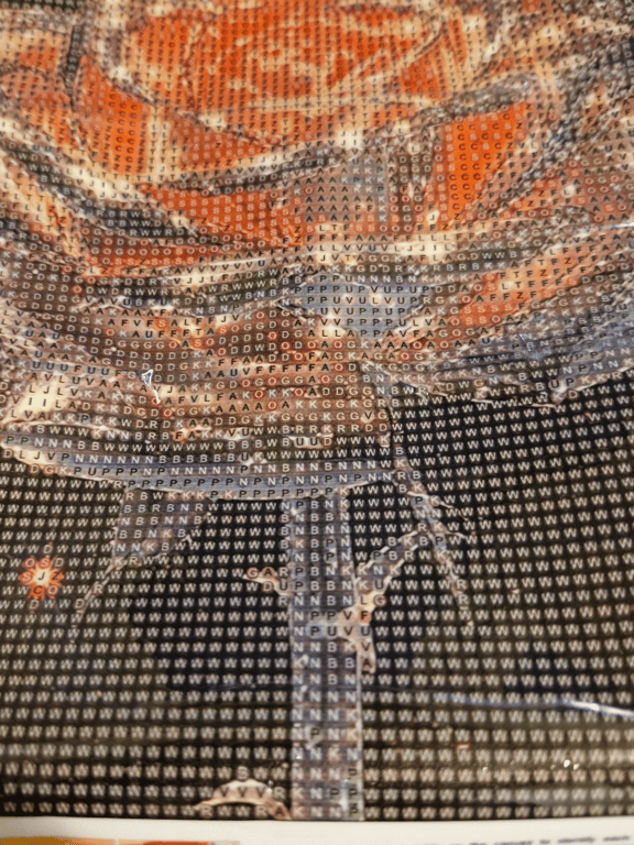 Billede af en orange rose, der er sammensat af små bogstaver arrangeret i et mønster.