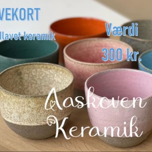 Gavekort - 300 kr. – produktbillede