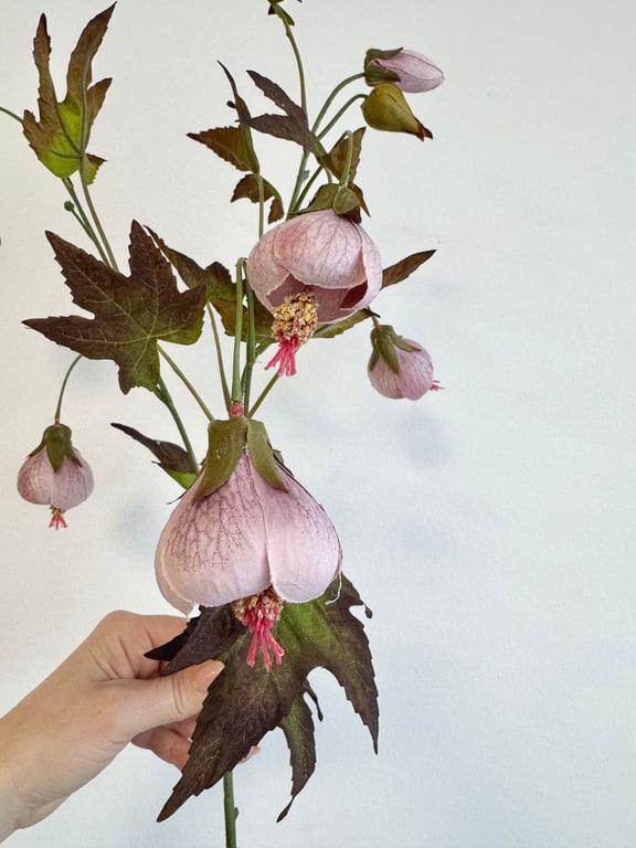 Klokkeblomst billede 3