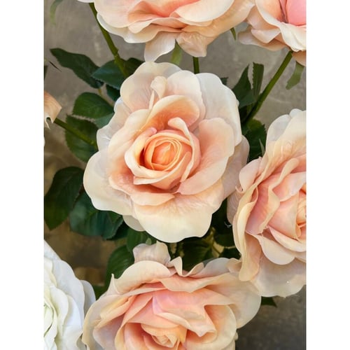 Rose lys abrikos real touch