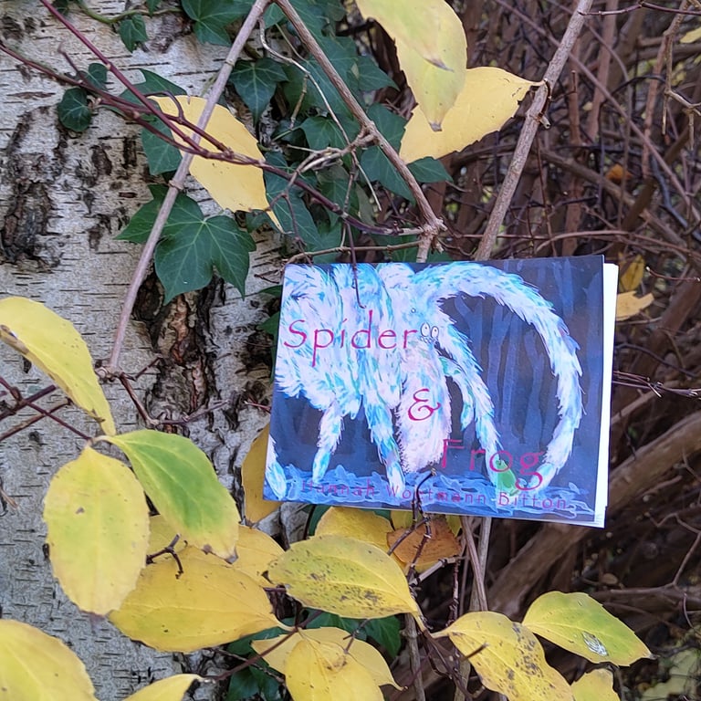 Spider &amp; Frog