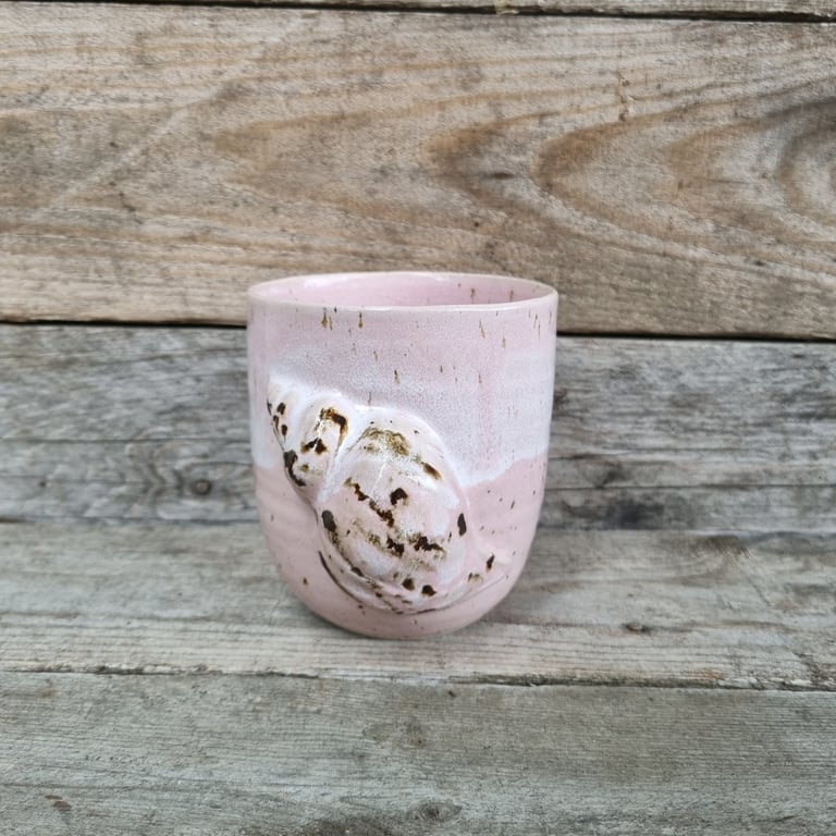 Konkylie kop billede 2