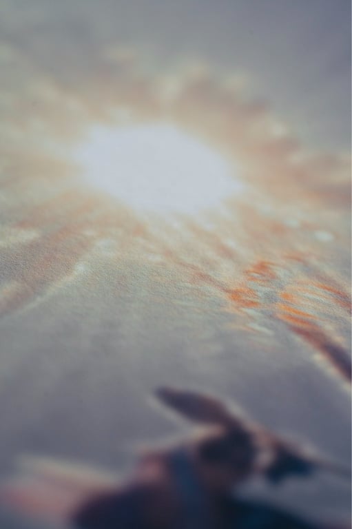 Blomst i modlys billede 2