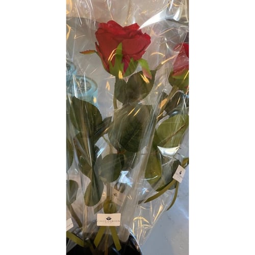 Rose rød 70 cm, indpakket (2)