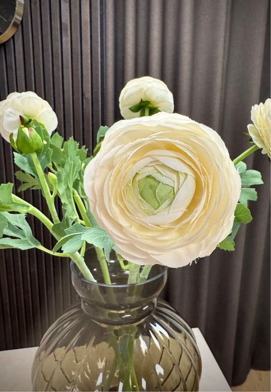 Ranunkel creme  billede 2