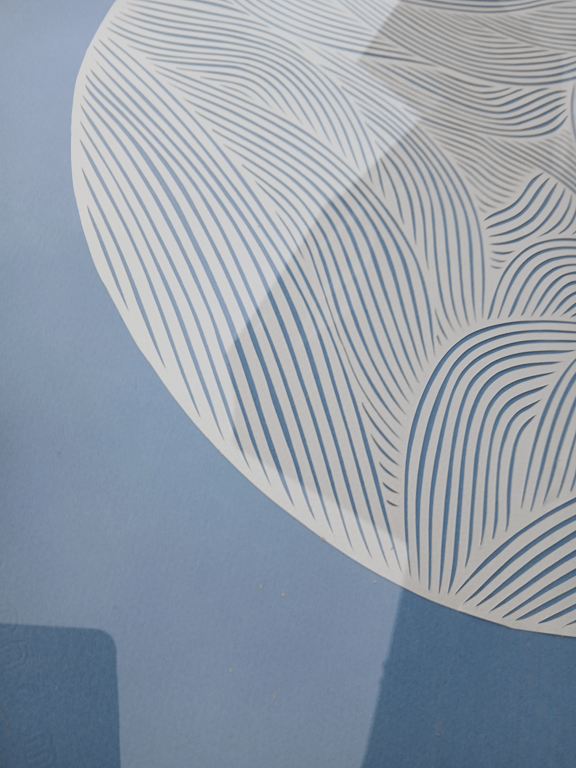 50x50cm dueblå,knækket hvid, indrammet billede 4