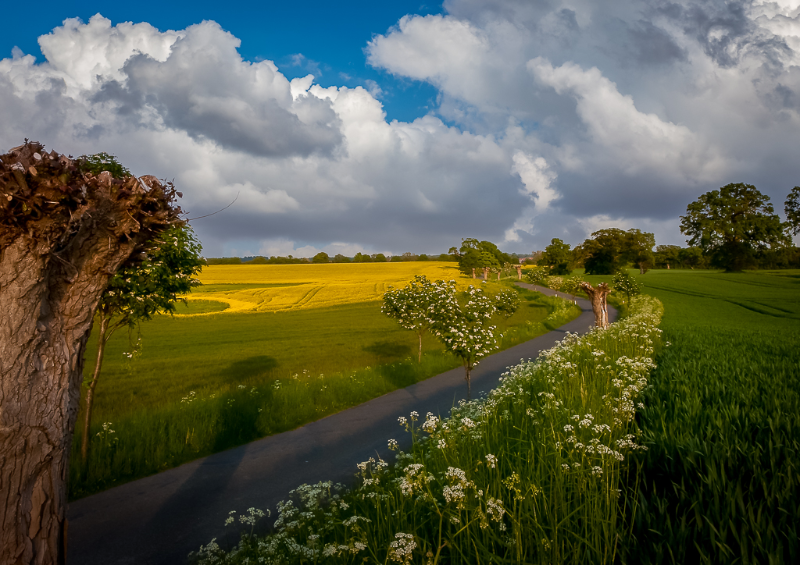 Nysøvej i Præstø en sommerdag