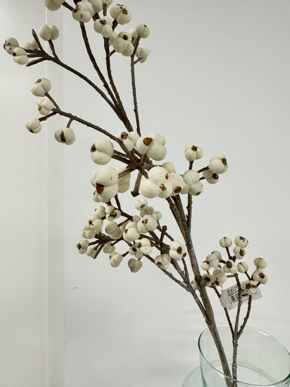 Bær gren hvid  billede 2