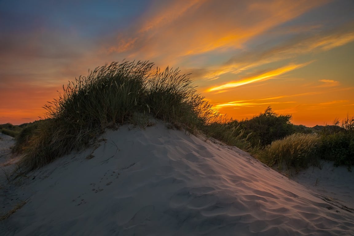 Lige efter solnedgang på  Råbjerg mile i Skagen en smuk sommeraften