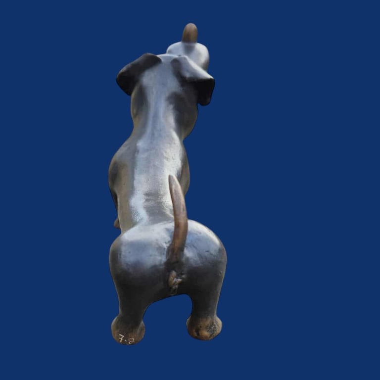 Karikatur Gravhund (Hun)  billede 3
