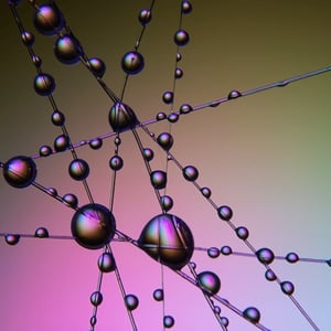 Vanddråber i makro kunst. – produktbillede